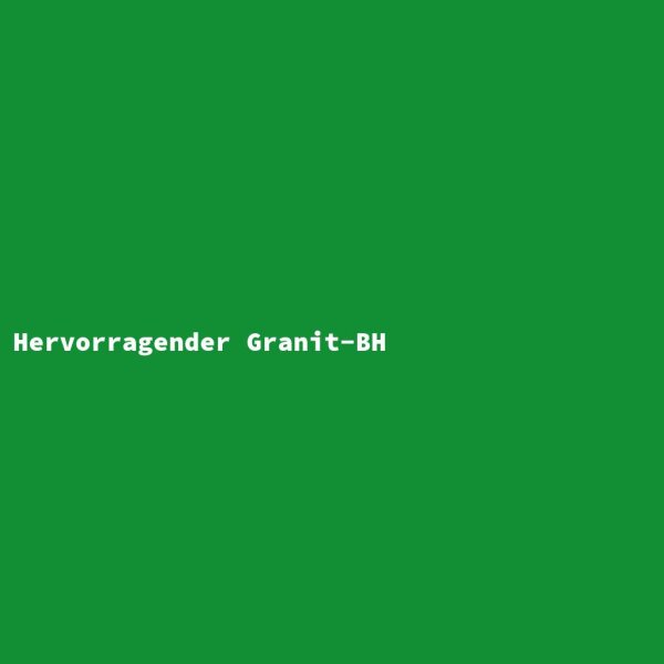 Hervorragender Granit-BH